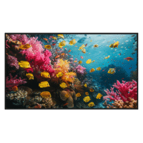 Monitor 50" - Resolução 4K - Utilização intensiva 24/7 - Android 13 - 4 GB RAM + 32 GB ROM - Suporte de parede incluído