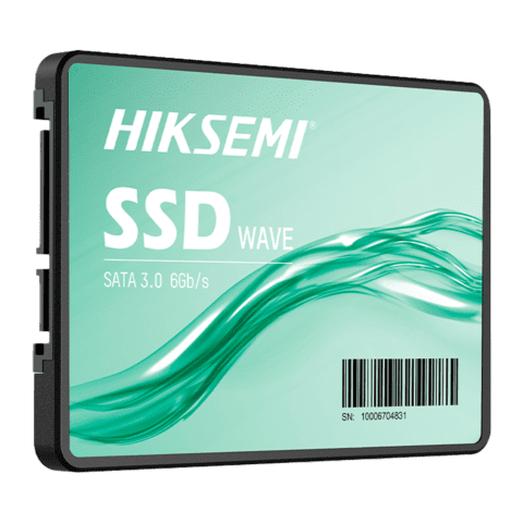 HS-SSD-WAVES-256G