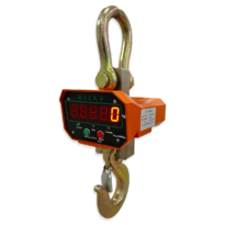 BALANÇA MICRO DIGITAL CRANE 5 / 10 TON