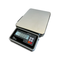 BALANÇA DIGITAL PORTÁTIL MICRO TCS 100 KG